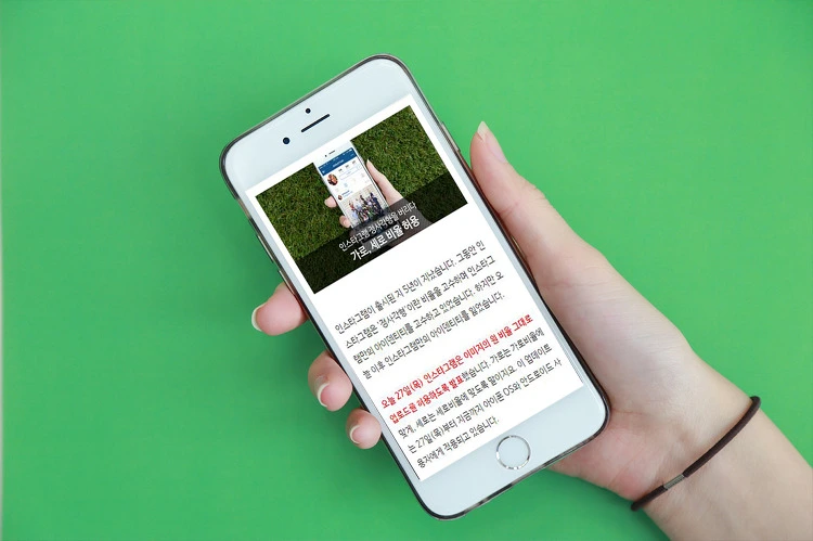 215F8A4855E4E815352F44