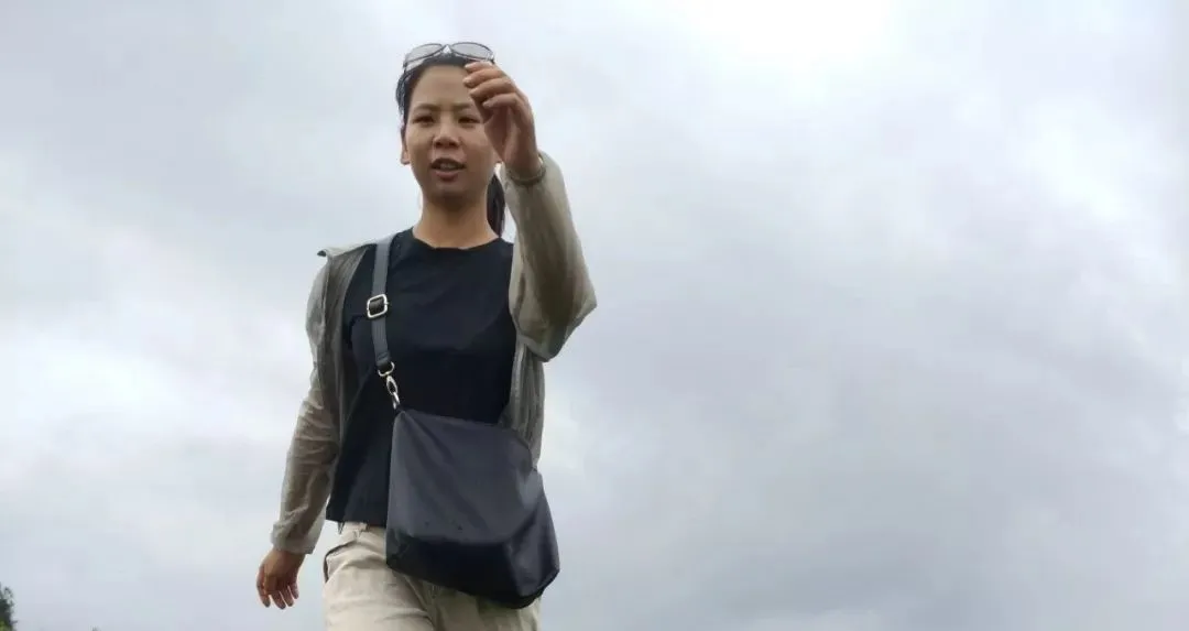 post_content_1539182803_22994026