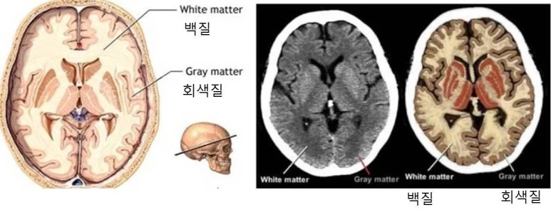 %EB%8B%A4%EC%9A%B4%EB%A1%9C%EB%93%9C.jpg?type=w773