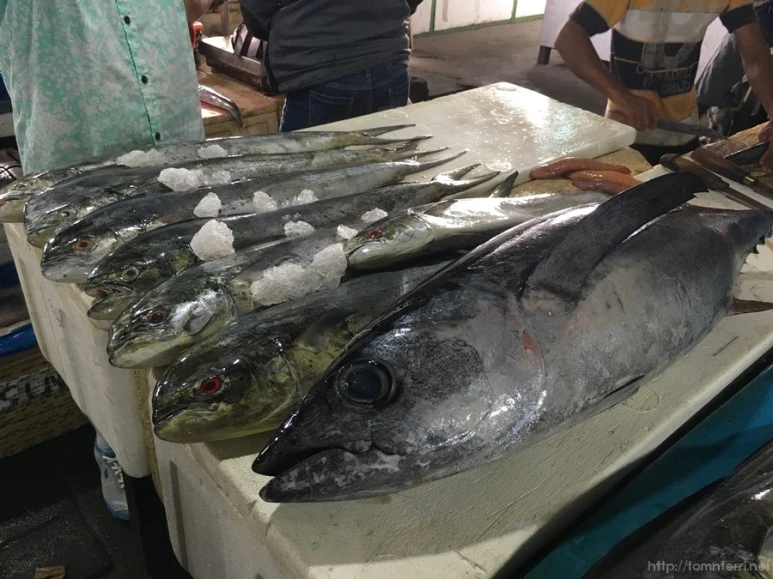 2016-09-18_at_08.49.40.jpg?type=w773