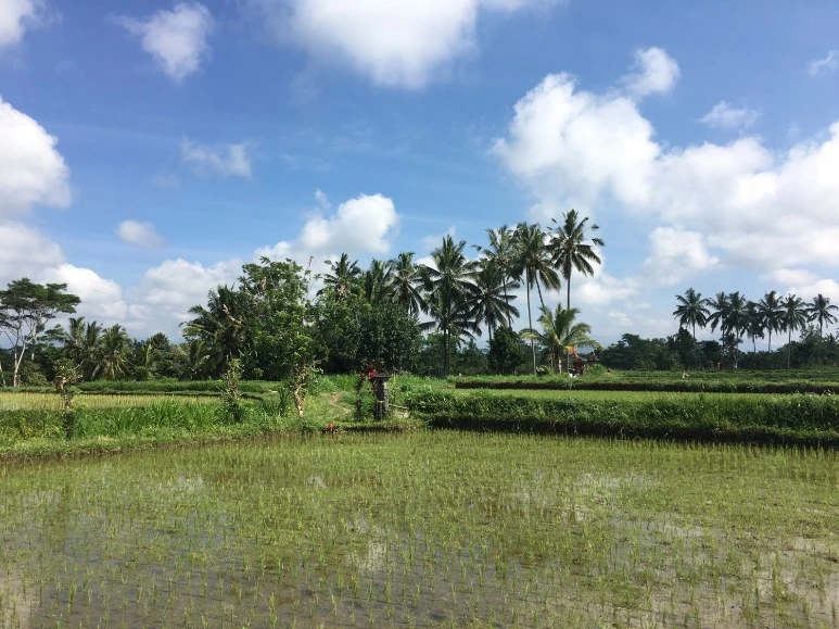 image_7316326261475592350253.jpg?type=w773