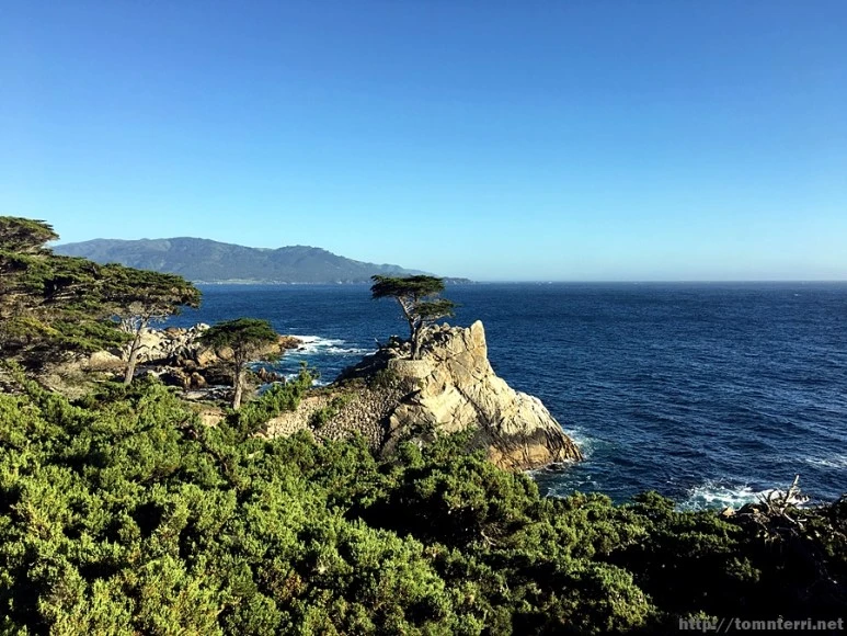 2017-05-02_at_10.13.17.jpg?type=w773