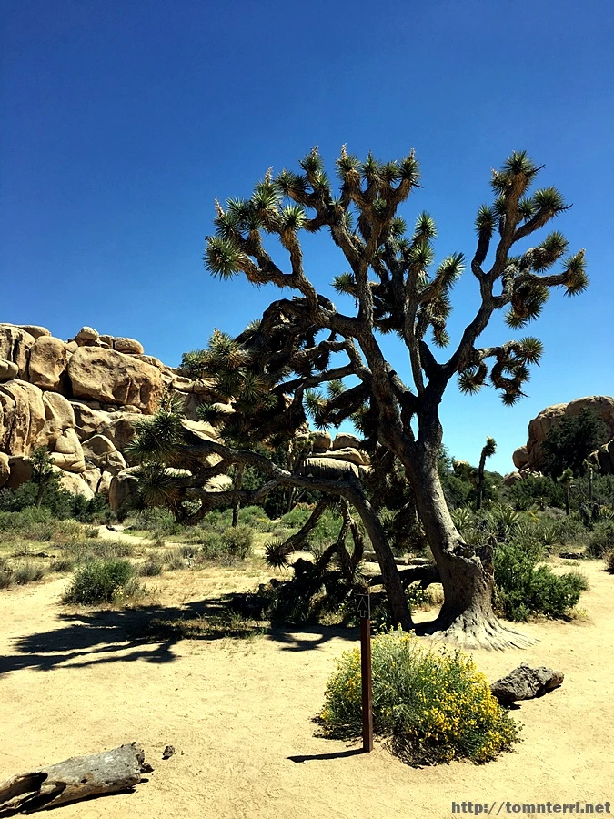 2017-05-05_at_06.14.26.jpg?type=w773