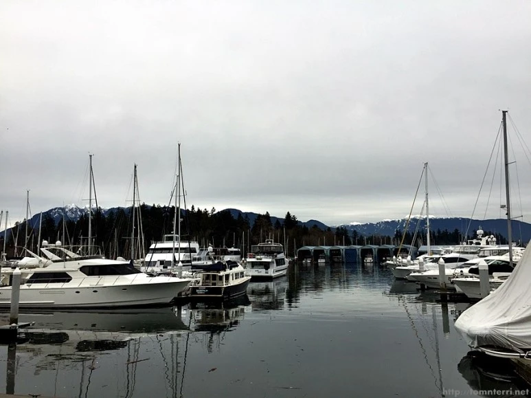 2016-02-08_at_05.50.50.jpg?type=w773