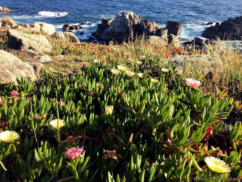 2017-05-02_at_10.21.03.jpg?type=w773