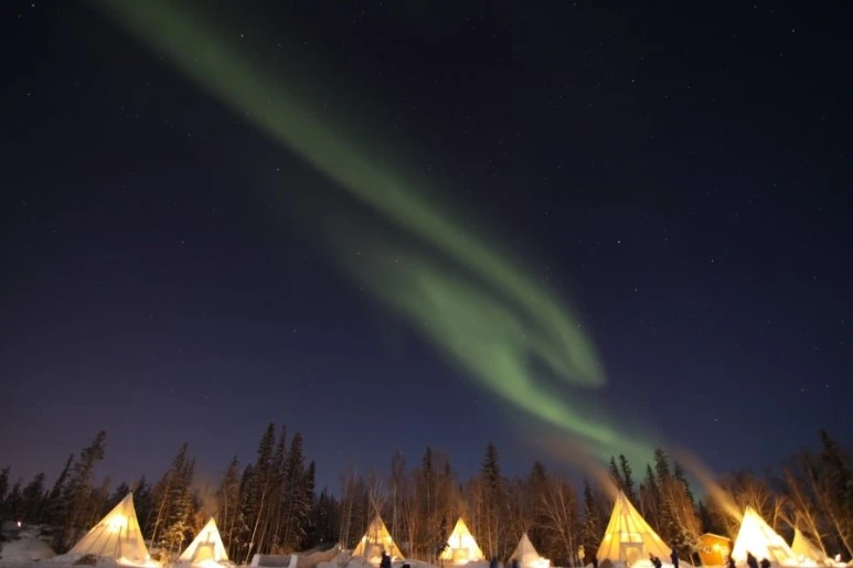 IMG_9966.JPG?type=w773