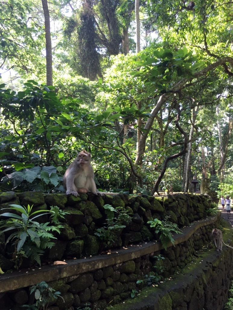 image_4884654501476019059032.jpg?type=w773