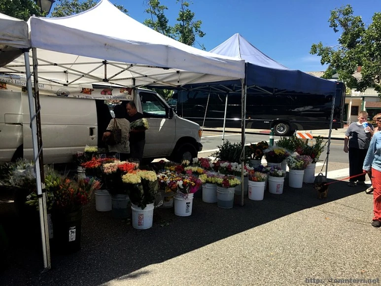 2017-05-04_at_06.26.38.jpg?type=w773