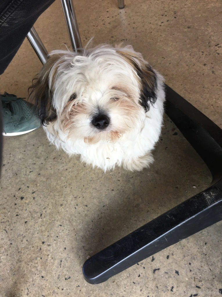 2016-11-20_at_12.10.18.jpg?type=w773