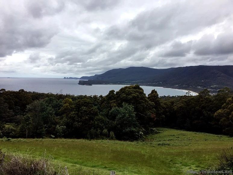 2016-11-23_at_11.25.22.jpg?type=w773