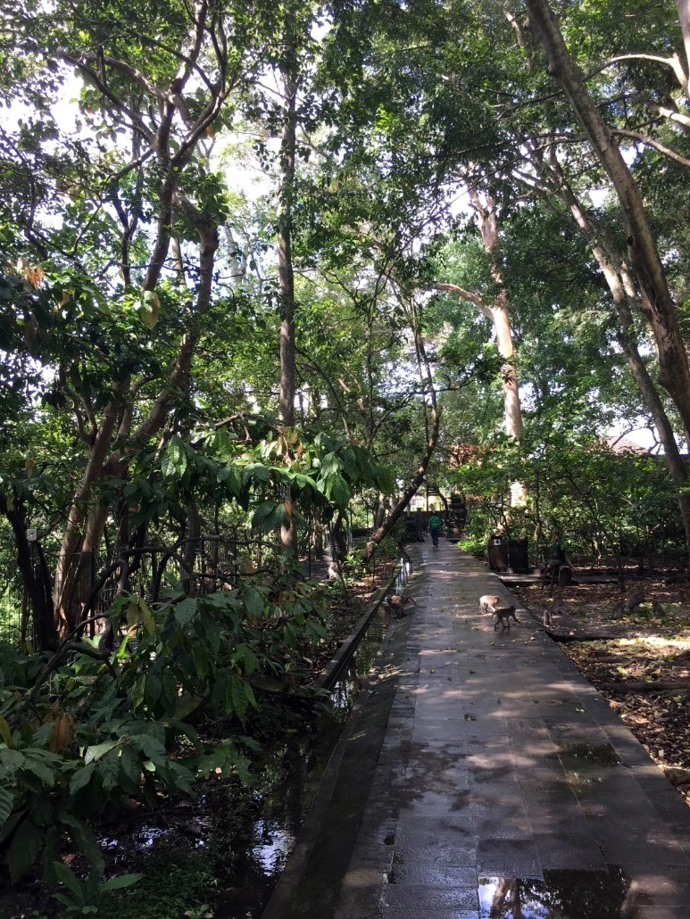 image_5421388831476019059037.jpg?type=w773