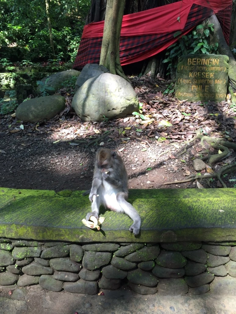 image_2972096031476019059035.jpg?type=w773