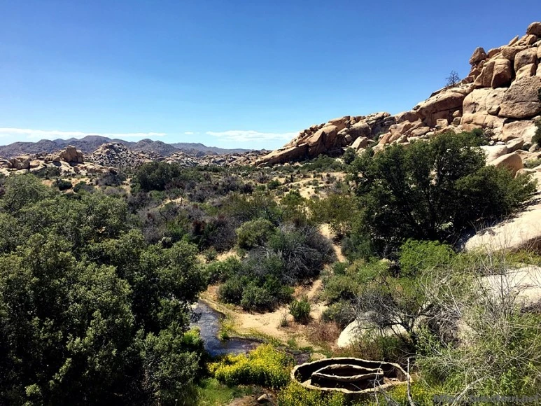 2017-05-05_at_06.04.13.jpg?type=w773