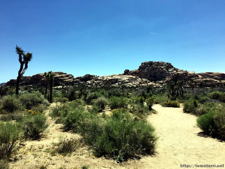 2017-05-05_at_06.06.34.jpg?type=w773