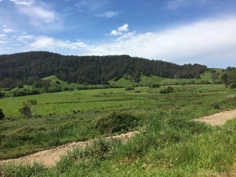 2016-11-21_at_13.14.35.jpg?type=w773