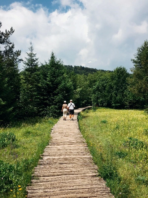 image_9982444631469328724847.jpg?type=w773