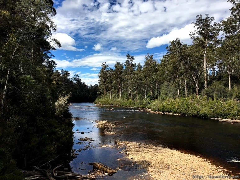 2016-11-24_at_13.43.16.jpg?type=w773