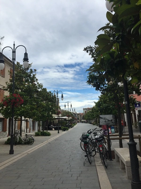 image_5359239781467465197801.jpg?type=w773