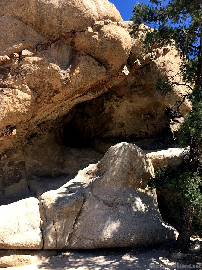 2017-05-05_at_06.16.11.jpg?type=w773