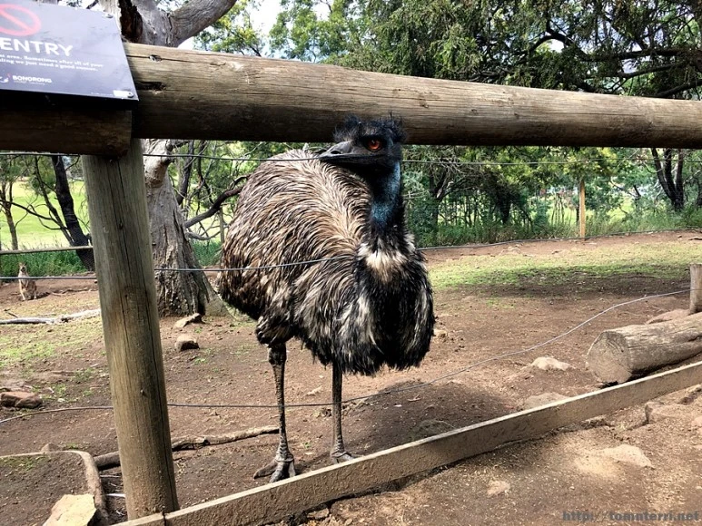 2016-11-25_at_08.33.57.jpg?type=w773