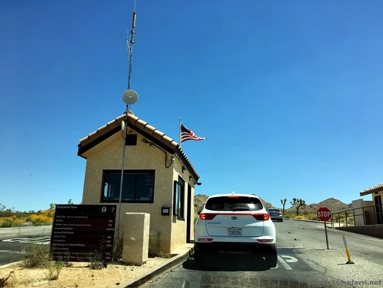 2017-05-05_at_04.51.00.jpg?type=w773