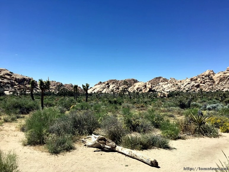 2017-05-05_at_06.17.05.jpg?type=w773