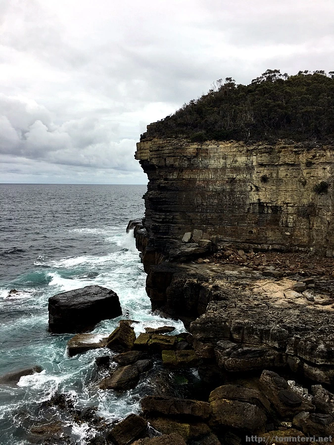 2016-11-23_at_12.09.00.jpg?type=w773