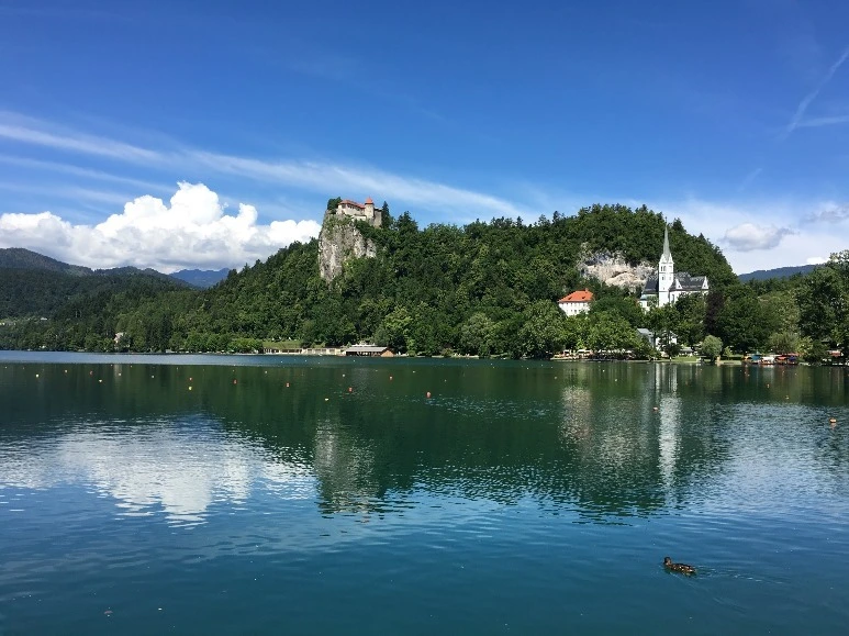 image_1486088671467472022110.jpg?type=w773