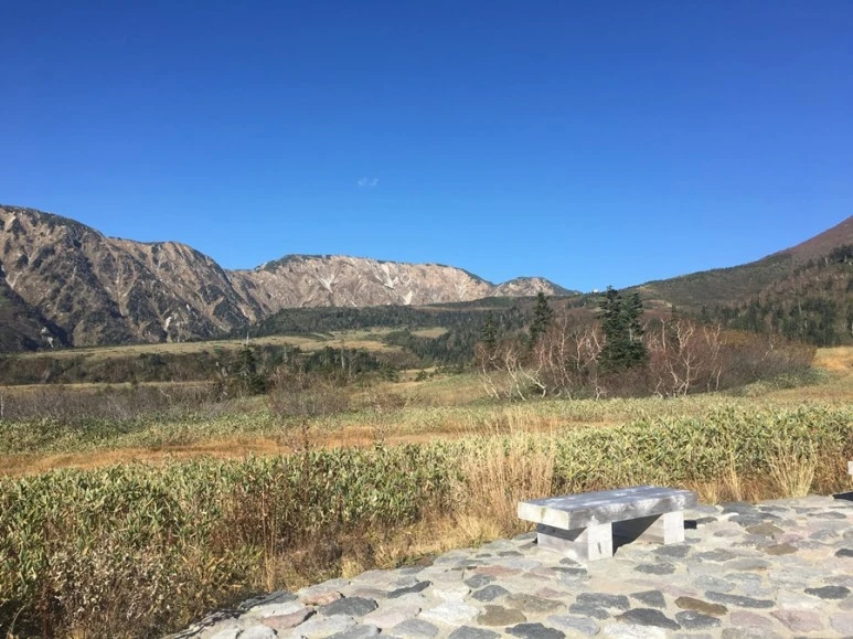 2016-10-15_at_14.48.40.jpg?type=w773