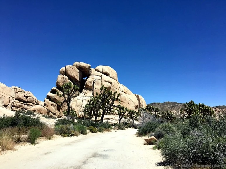 2017-05-05_at_05.27.24.jpg?type=w773