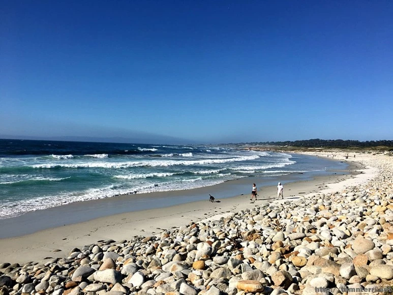 2017-05-02_at_09.18.34.jpg?type=w773