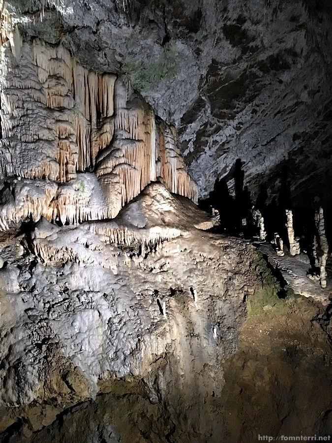 2016-06-24_at_19.52.58.jpg?type=w773