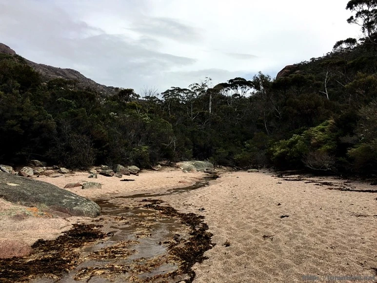 2016-11-22_at_11.41.24.jpg?type=w773