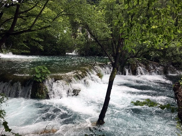 image_341328431469330111406.jpg?type=w773