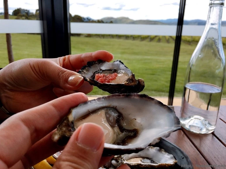 2016-11-25_at_11.40.44.jpg?type=w773