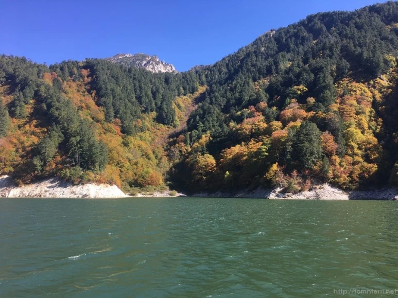 2016-10-15_at_12.38.38.jpg?type=w773