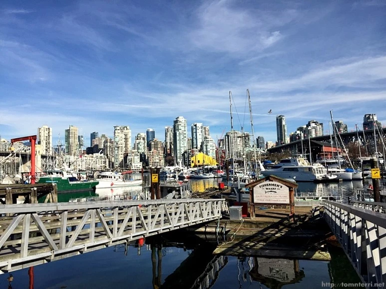 2016-02-10_at_06.15.33.jpg?type=w773