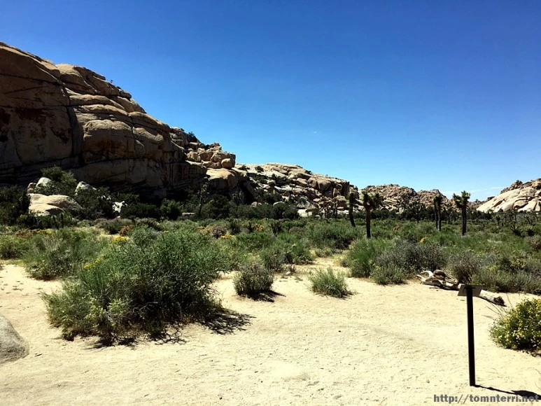 2017-05-05_at_06.16.50.jpg?type=w773