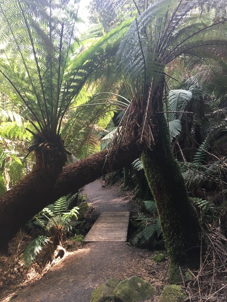 2016-11-21_at_12.53.47.jpg?type=w773