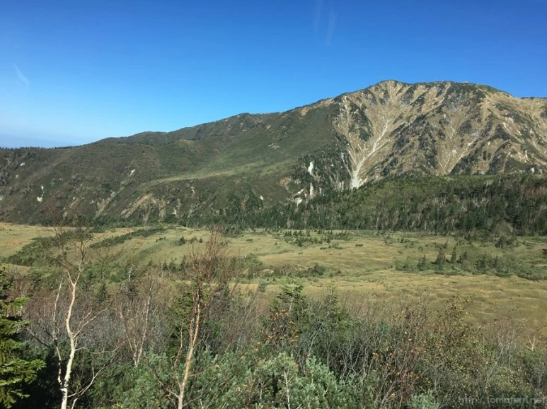 2016-10-15_at_09.41.49.jpg?type=w773