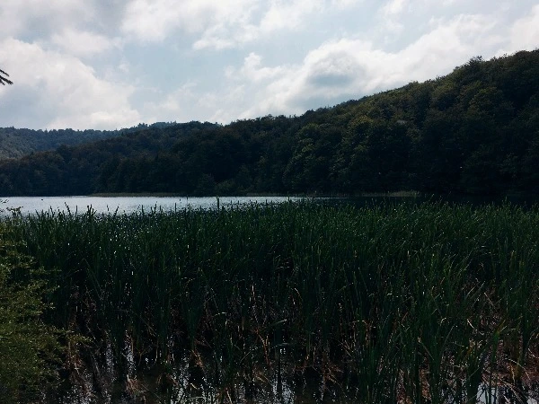 image_7275475371469328643254.jpg?type=w773