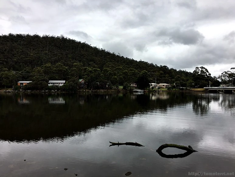 2016-11-23_at_09.19.30.jpg?type=w773