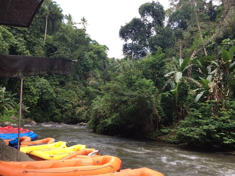 image_423310711475592350254.jpg?type=w773