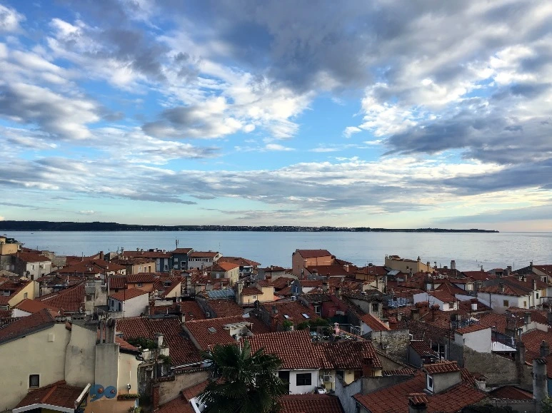 image_3191743501467468802032.jpg?type=w773