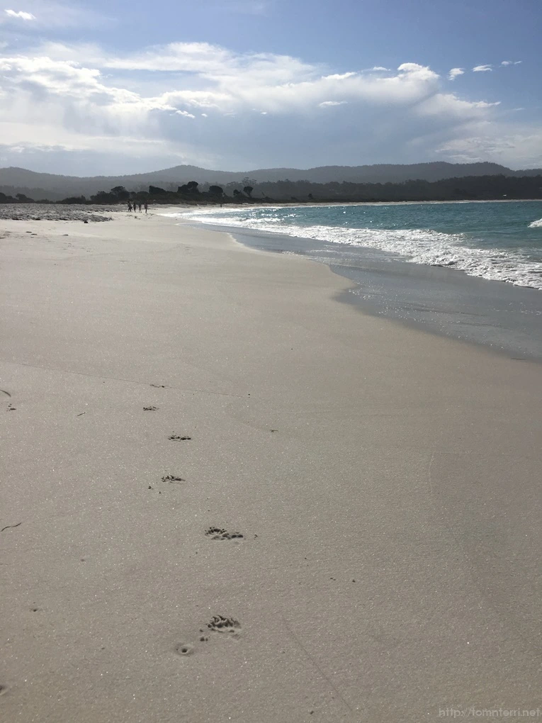 2016-11-21_at_14.55.51.jpg?type=w773