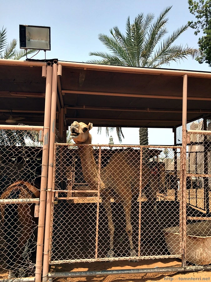 2016-06-25_at_16.22.46.jpg?type=w773