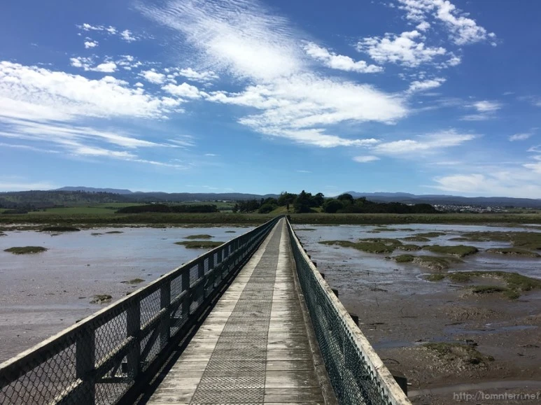 2016-11-20_at_09.36.06.jpg?type=w773