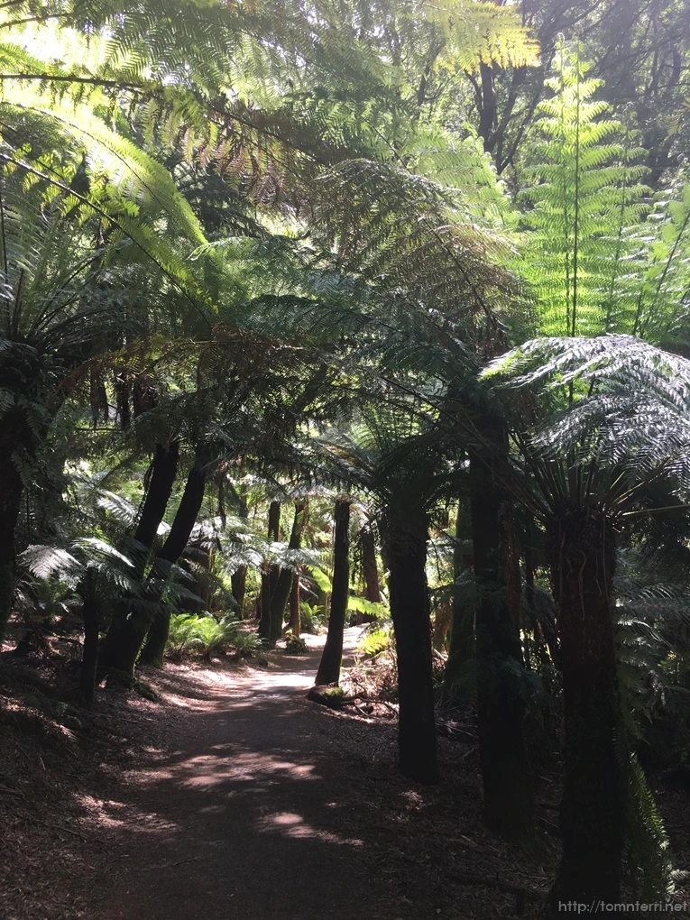 2016-11-21_at_12.46.26.jpg?type=w773