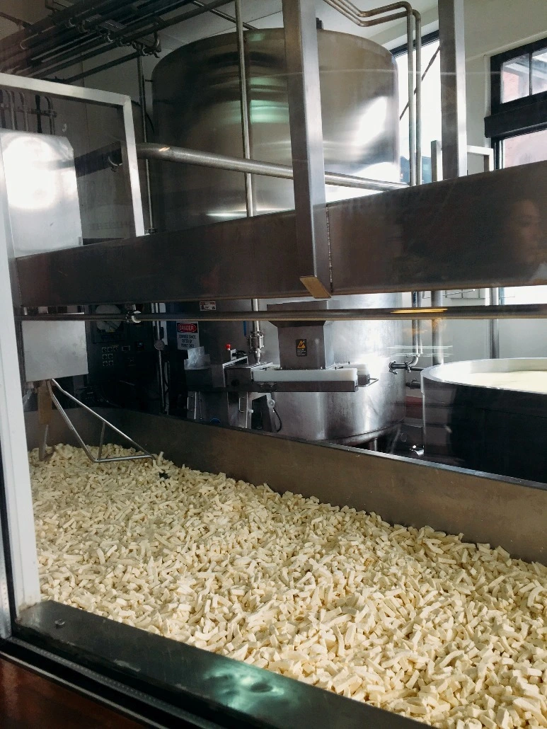 image_4335189071469353834900.jpg?type=w773