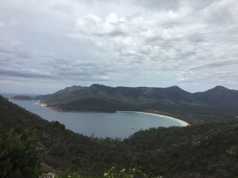 2016-11-22_at_10.23.45.jpg?type=w773